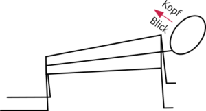 Strichzeichnung, Vierfüßerstand, Blick und Kopf nach links